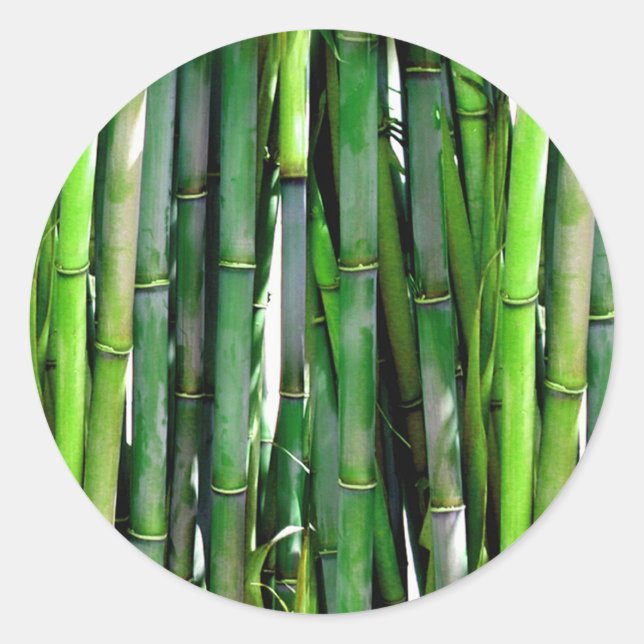 BAMBOO RUNDER AUFKLEBER (Vorderseite)