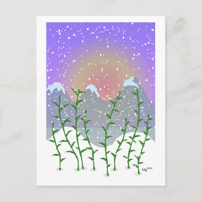 Bamboo Winter Postcard Postkarte (Vorderseite)