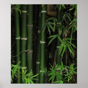 Bambus ... Fao Rai, Nong Khai, Isaan, Thailand Poster