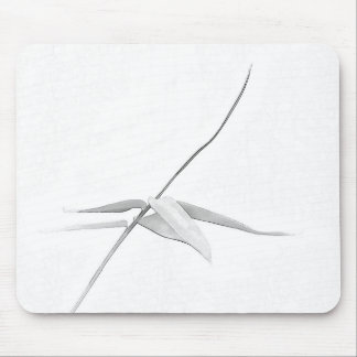 Bambus - Mousepad