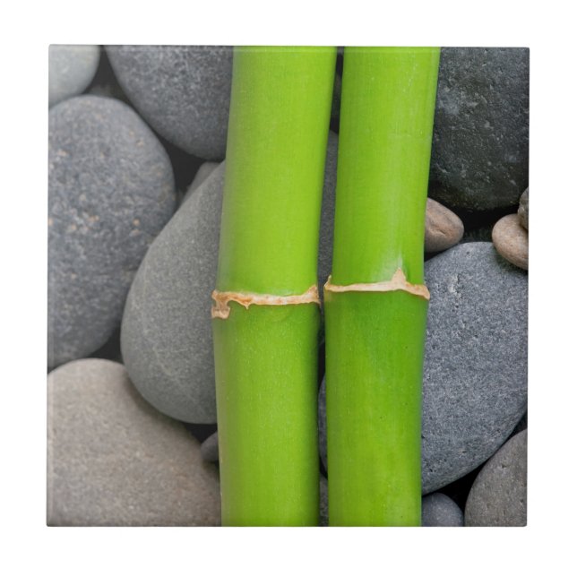 Bambus und Kiesel Fliese (Vorderseite)