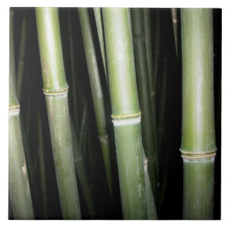 Bambusentwurfs-Wand-Fliese Fliese