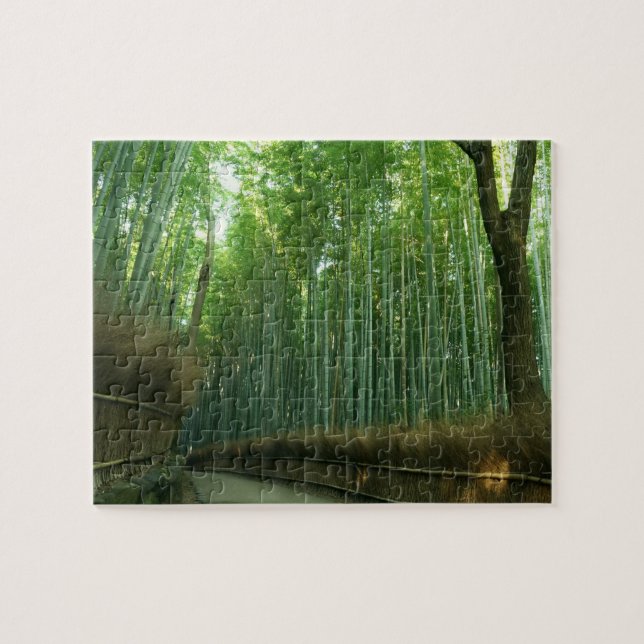 BambusForrest in Arashiyama, Sagano, Kyoto, Japan (Horizontal)