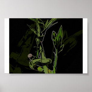 BambusPflanze Poster