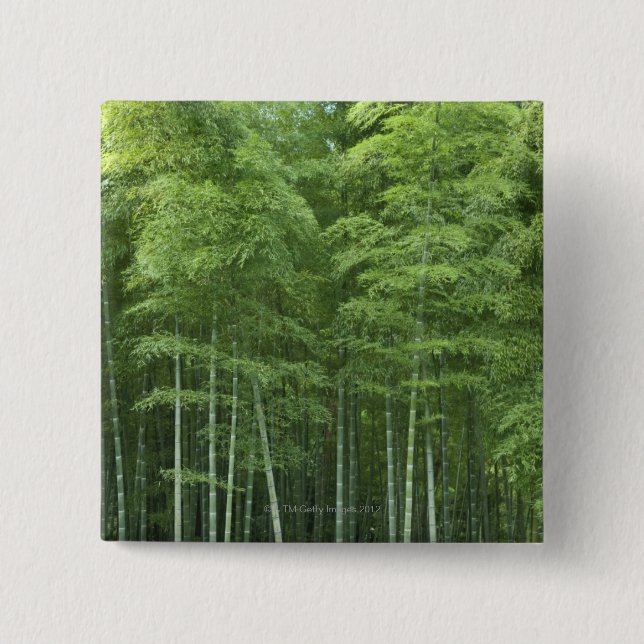 Bambuswald Button (Vorderseite)