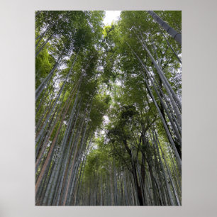 Bambuswald - Kyoto Poster