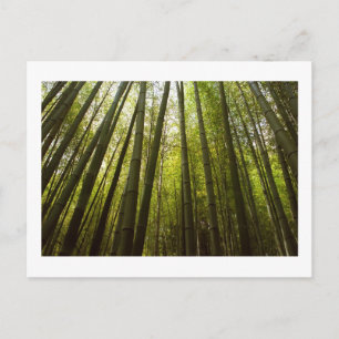 Bambuswald von Sagano, Kyoto Postkarte