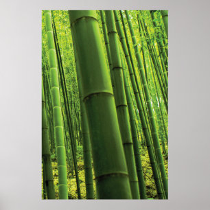 Bambuswald - Zen Art (Artikel 3 von 3) Poster