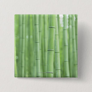 Bambuswaldung Button