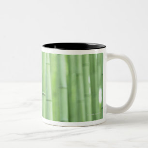 Bambuswaldung Zweifarbige Tasse