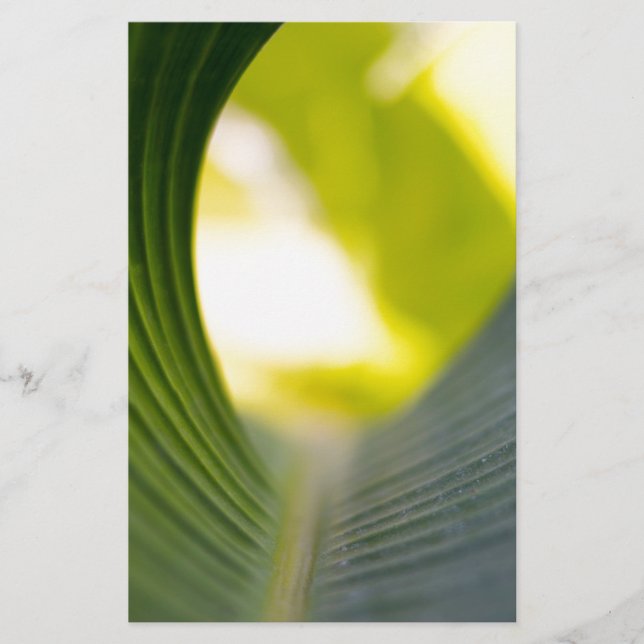 Banana Leaf Briefpapier (Vorderseite)