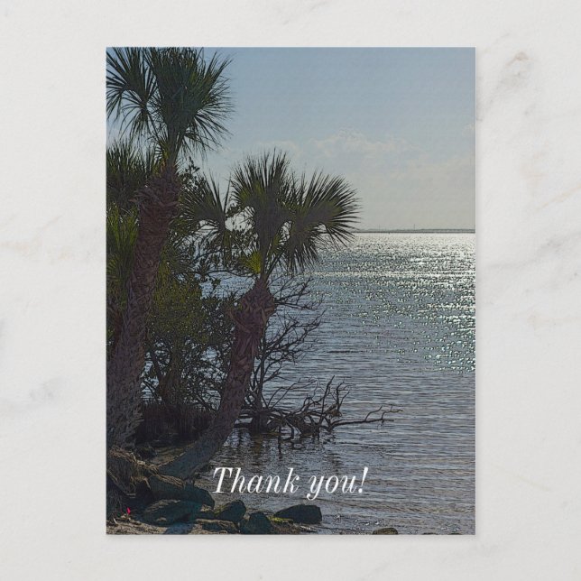 Banana River Palm Trees Painterly Postkarte (Vorderseite)