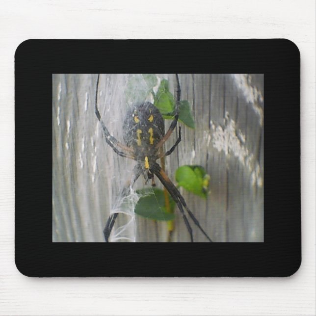Banana Spider Mousepad (Vorne)