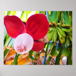 Banana Tree Bliss Poster