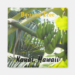 Banana Tree, Kauai, Hawaii Magnet