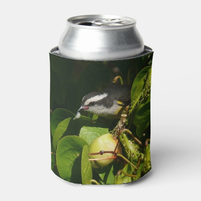 Bananaquit Bird essen tropische Fotografie Dosenkühler (Kanne Vorderseite)