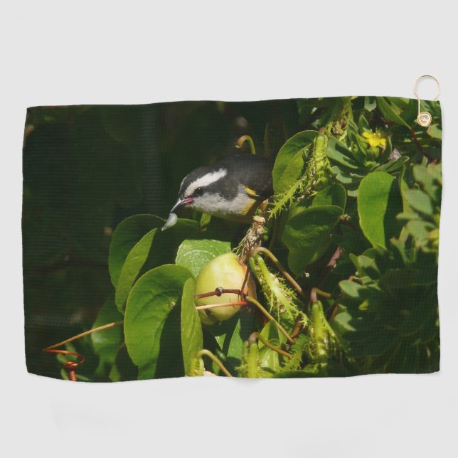 Bananaquit Bird essen tropische Fotografie Golfhandtuch (Horizontal)