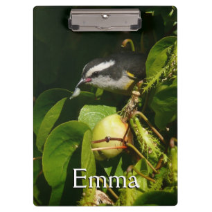 Bananaquit Bird essen tropische Fotografie Klemmbrett