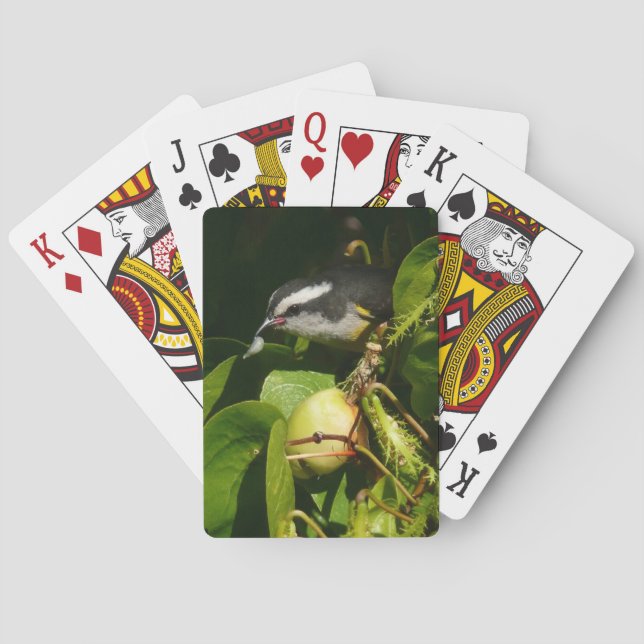 Bananaquit Bird essen tropische Fotografie Spielkarten (Rückseite)