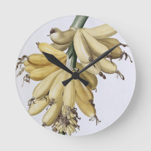 Banane, 1816 runde wanduhr
