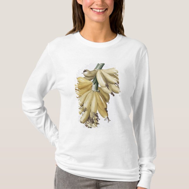 Banane, 1816 T-Shirt (Vorderseite)