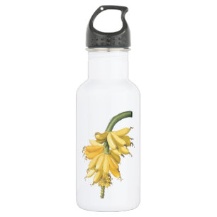 Banane (Musa paradisiaca) von Redouté Trinkflasche