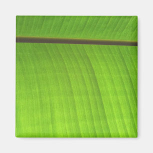 Bananen-Blatt-Nahaufnahme Magnet