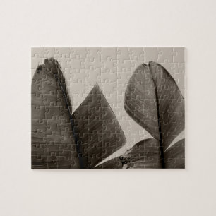 Bananenbaum-Blätter in Sepia
