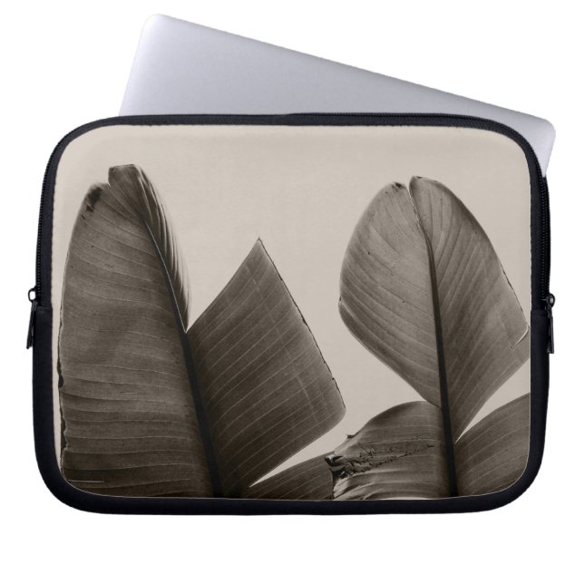 Bananenbaum-Blätter in Sepia Laptopschutzhülle (Vorderseite)