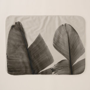 Bananenbaum-Blätter in Sepia Sherpadecke