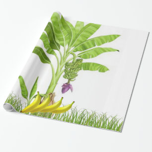 Bananenbaum-Umschlagpapier Geschenkpapier