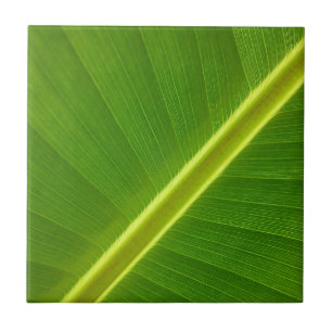Bananenblatt Fliese