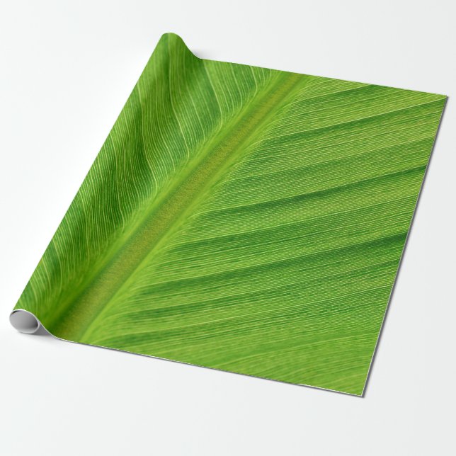 Bananenblättrige Bananenfasern Geschenkpapier (Ungerollt)