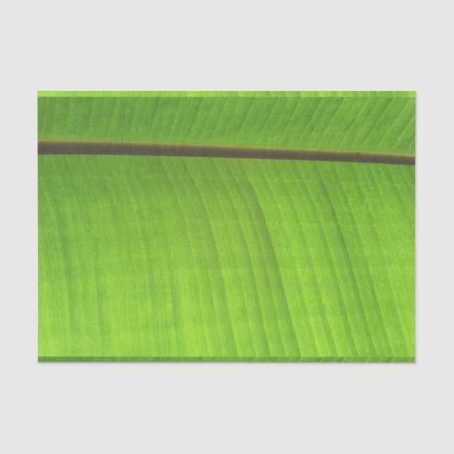 Bananenleaf Nah Seidenpapier (Vorderseite)