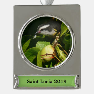 Bananquit-Vogel frisst tropische Fotografie Banner-Ornament Silber