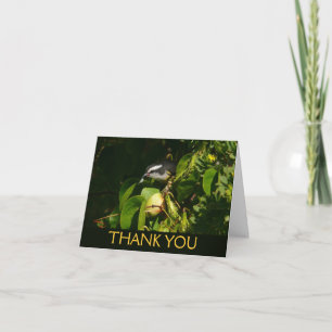 Bananquit-Vogel frisst tropische Fotografie Dankeskarte