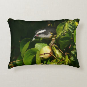 Bananquit-Vogel frisst tropische Fotografie Dekokissen