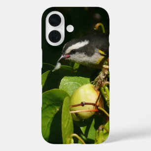 Bananquit-Vogel frisst tropische Fotografie iPhone 16 Hülle