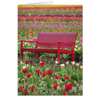 Banc dans un champ