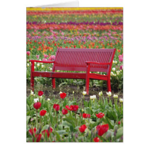 Banc dans un domaine