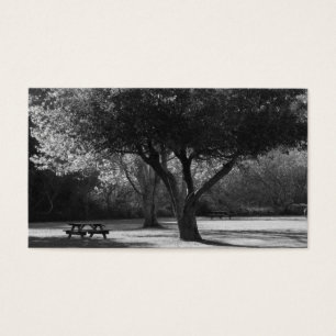 Banc de parc et photo d'arbre