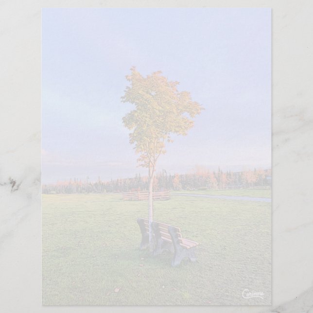 Banc de parc - Feuille de papier à lettres de 8,5  (Devant)