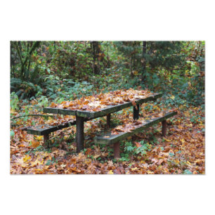 Banc de pique-nique 19" x 13" Photo agrandissement