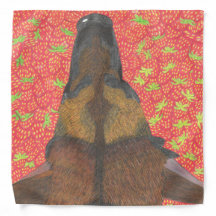 Chien et fraise