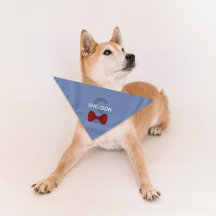 Cute Bow Cravate Monogramme Nom de l'animal Chien