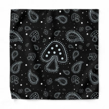 Paisley