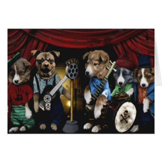 Bande de chiot