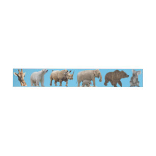 Bande Pour Adresse Animaux en voie de disparition