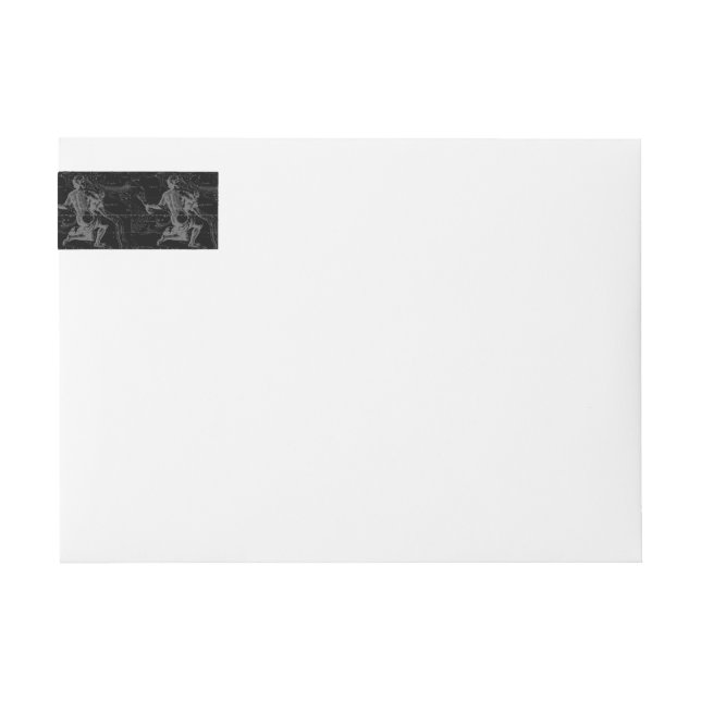 Bande Pour Adresse De Retour Aquarius Zodiac Constellation Engraving Hevelius (Devant)