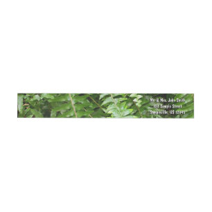 Bande Pour Adresse De Retour Fermer Fronds I Green Nature